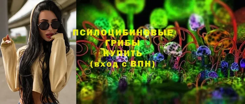 Галлюциногенные грибы Cubensis  Бикин 